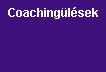 Coaching�l�sek